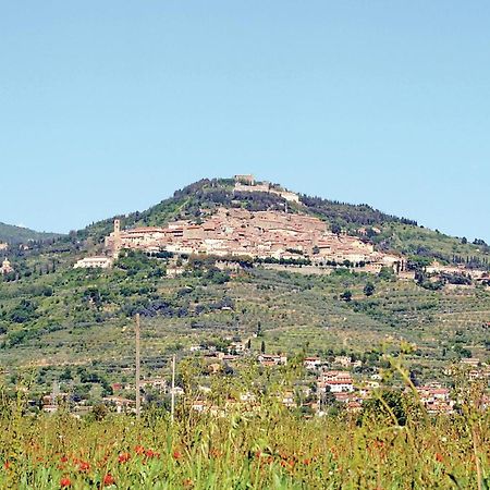 Il Marinocchio Di Malatesti Arezzo Eksteriør billede